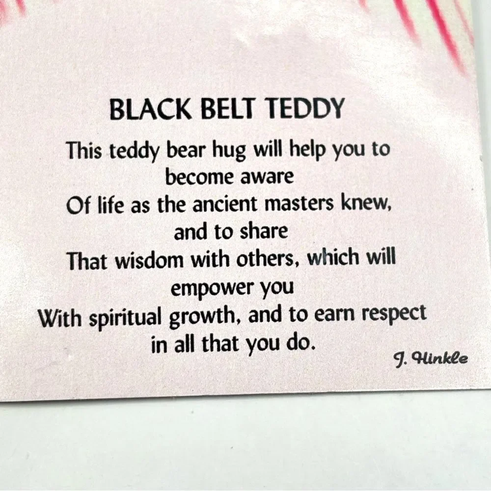 Karate Black Belt Teddy Lapel Pin Brooch